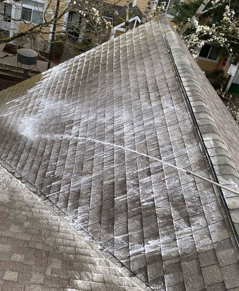 Roof Maintenance